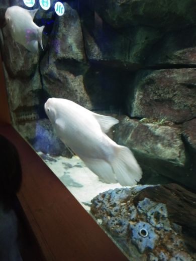 临沂海洋世界主题公园