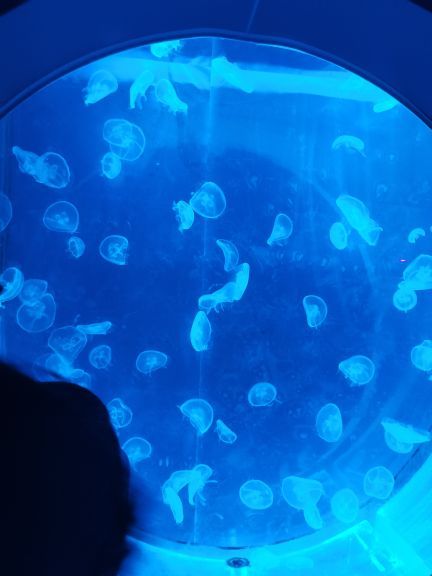 临沂极地海洋王国