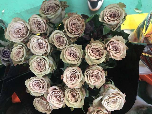 昆明斗南花卉市场