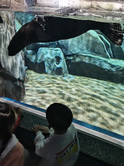 临沂极地海洋王国