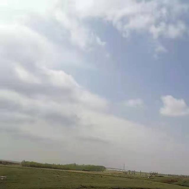 希拉穆仁花海景区