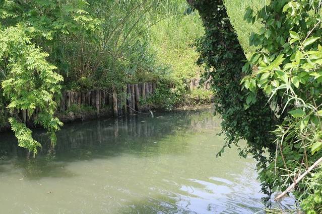 良渚古城遗址公园