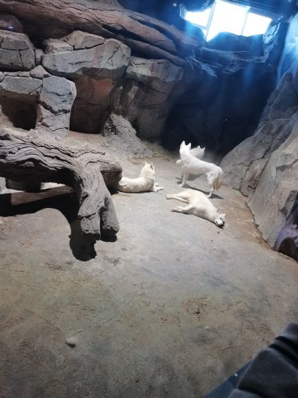 临沂极地海洋王国