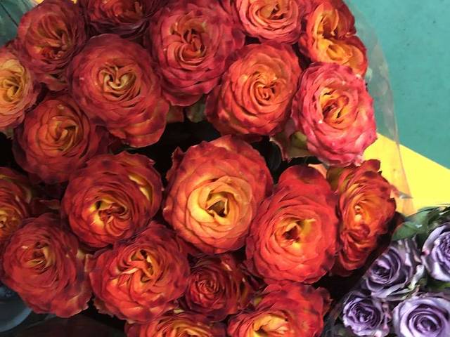 昆明斗南花卉市场