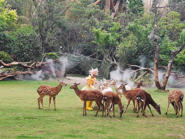 郑州银基动物王国