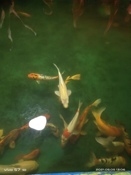 山西海立方海洋公园