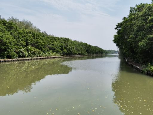 大湾区中央湿地公园