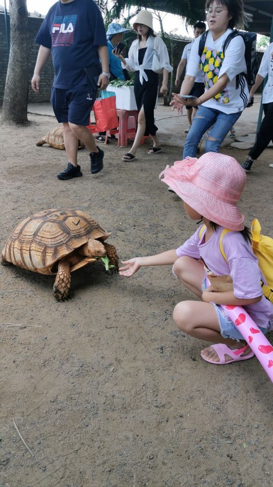 天鹅湖动物基地