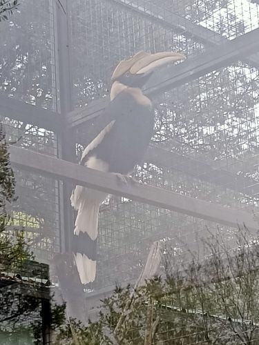 沈阳森林动物园