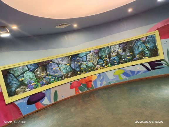 山西海立方海洋公园