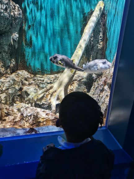 临沂极地海洋王国