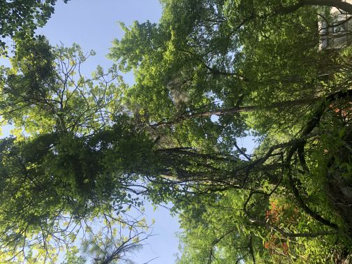 波尔登森林公园