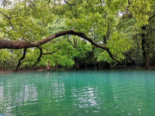 《古韵镇远》 舞蹈演出