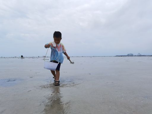 红树林欢乐赶海