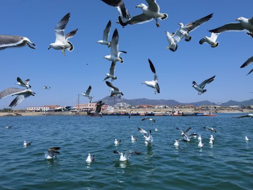 心悦岛文化主题休闲公园