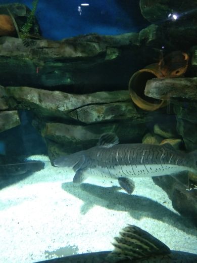 临沂海洋世界主题公园