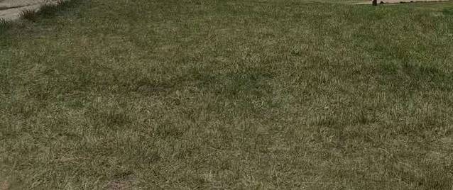 蒙亮民族风情园