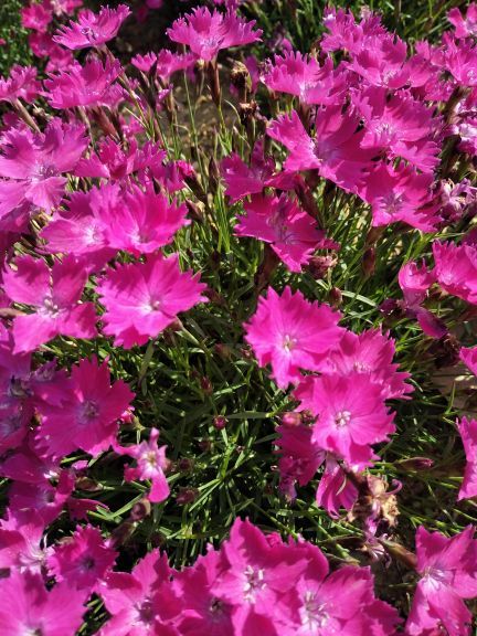 冠山风景旅游区