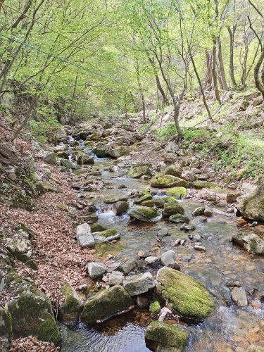 关门山生态大峡谷