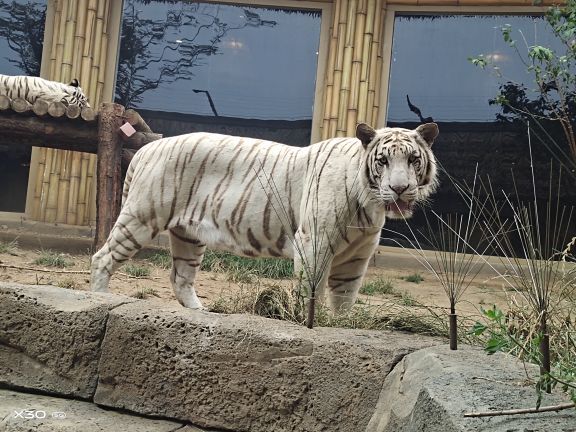 郑州方特水上乐园