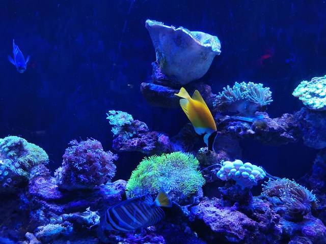 福州永泰欧乐堡海洋世界