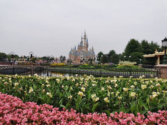 上海薰衣草公园