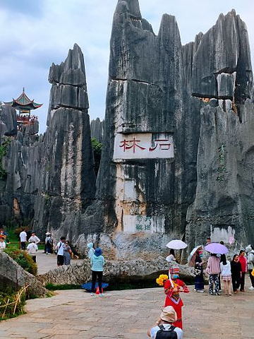 "_石林风景区"的评论图片
