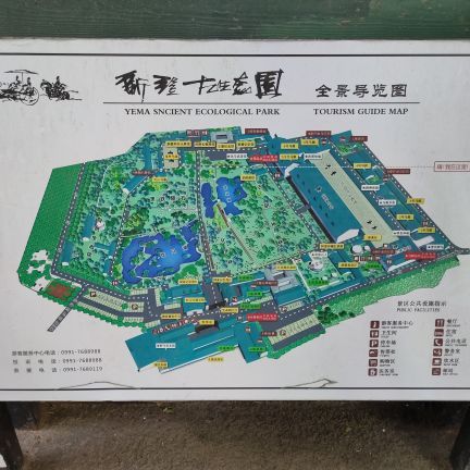 新疆古生态园汗血马基地