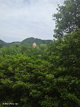 蒋氏故居旅游景点攻略图