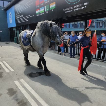 新疆古生态园汗血马基地