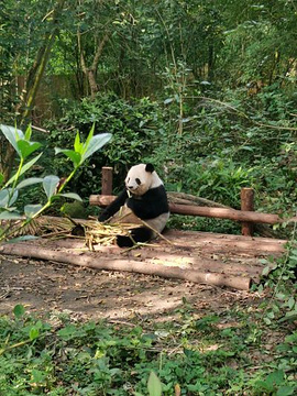 中国川菜文化体验馆旅游景点攻略图