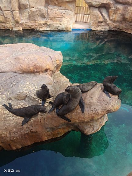 郑州方特水上乐园