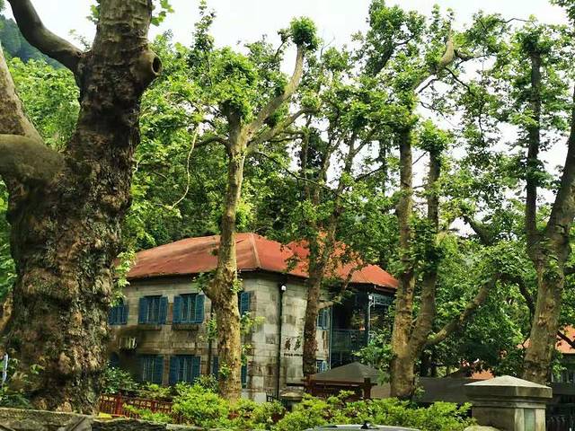 庐山国家级旅游风景名胜区-观妙亭