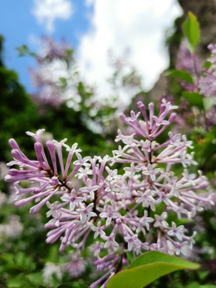 白石山世界地质公园