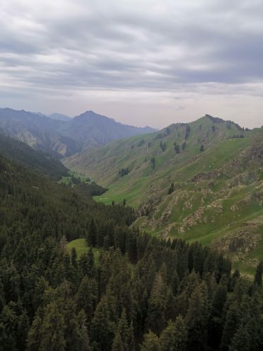 新疆古生态园汗血马基地