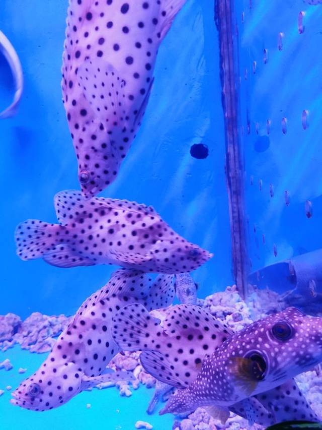 福州永泰欧乐堡海洋世界