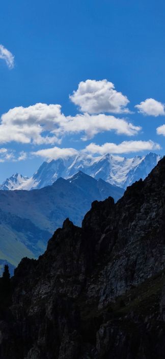 新疆古生态园汗血马基地