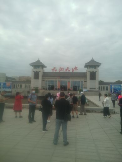 新疆古生态园汗血马基地