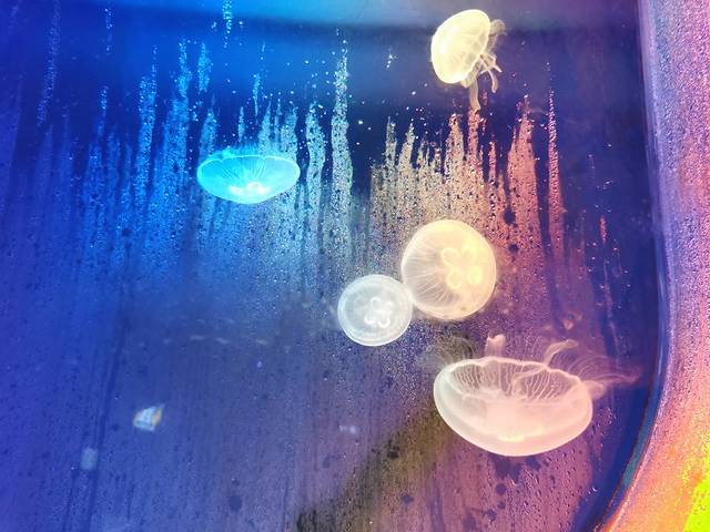 福州永泰欧乐堡海洋世界