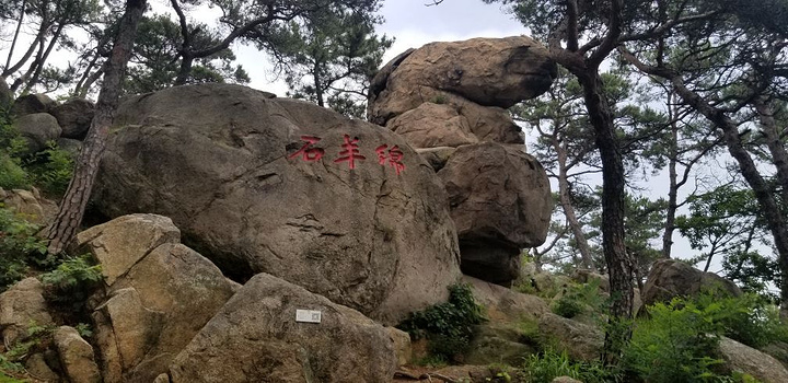 "崂山好风景，崂山——山海凌云☁️，仙山名不虚传，云雾缭绕，美女导游很热情，服务到位，下次来青岛..._青岛山一战遗址公园"的评论图片