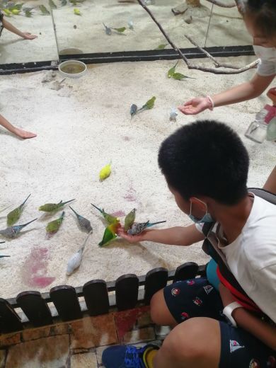 上海大自然野生昆虫馆（东方明珠•爬宠昆虫探索中心）