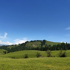 解忧公主薰衣草园