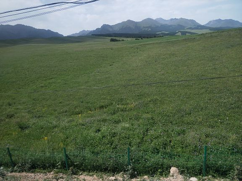 南山牧场旅游景点攻略图