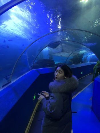 青岛啤酒纯生之旅