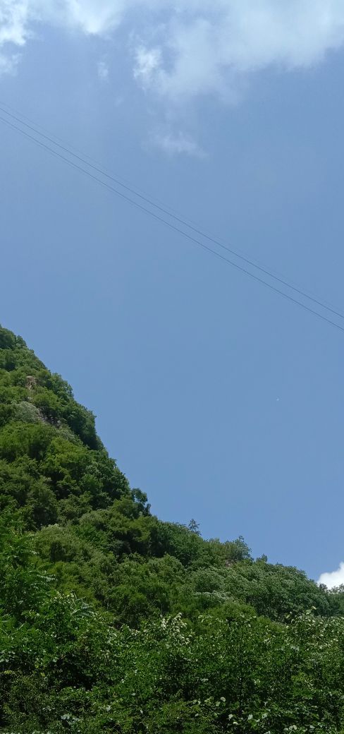 太平国家森林公园