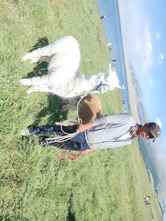 解忧公主薰衣草园