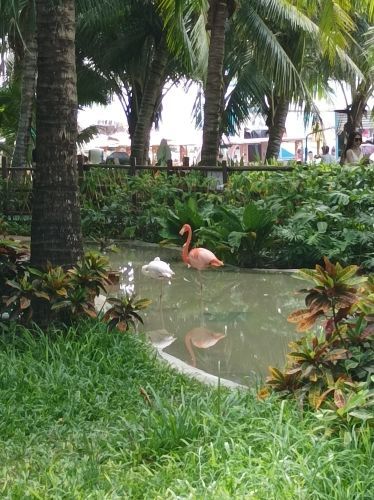 呀诺达热带雨林