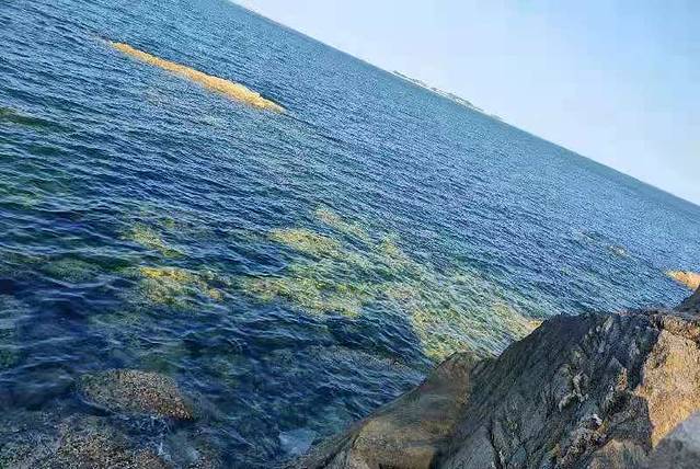 东炮台海滨旅游风景区