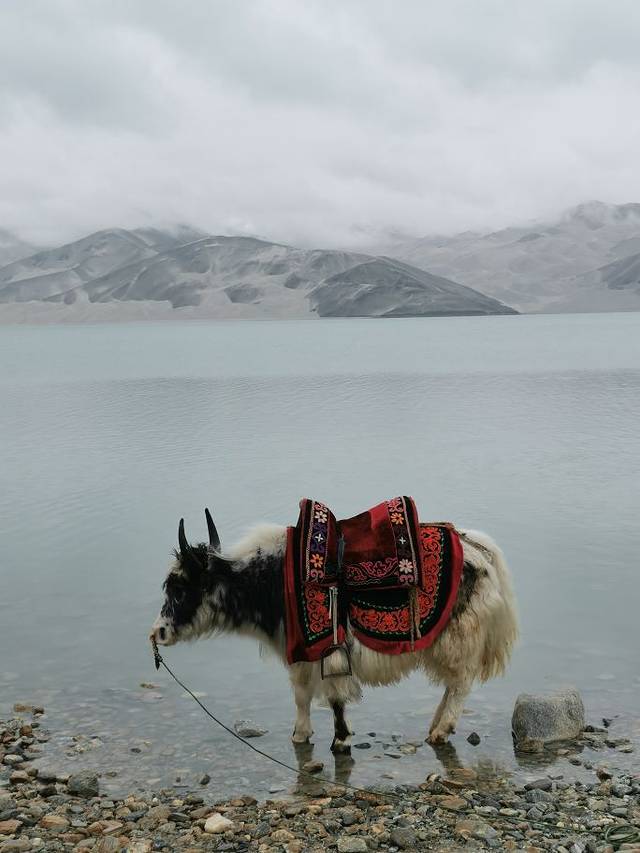 喀拉库勒湖景区