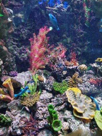 青岛啤酒纯生之旅